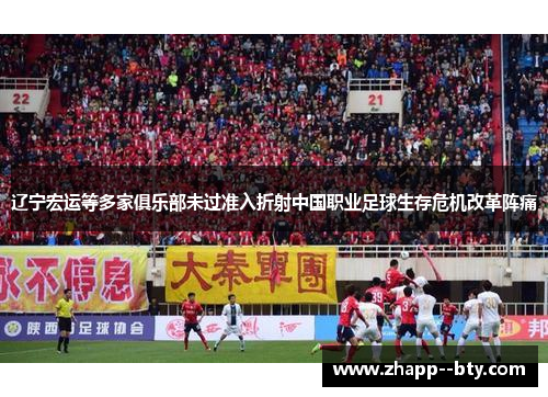 辽宁宏运等多家俱乐部未过准入折射中国职业足球生存危机改革阵痛