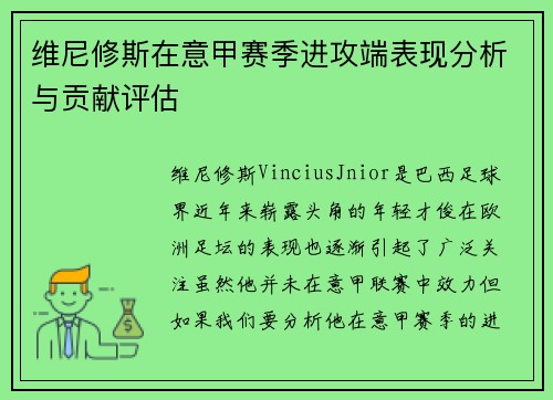 维尼修斯在意甲赛季进攻端表现分析与贡献评估