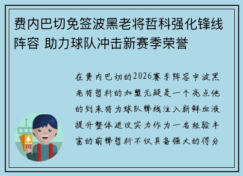 费内巴切免签波黑老将哲科强化锋线阵容 助力球队冲击新赛季荣誉